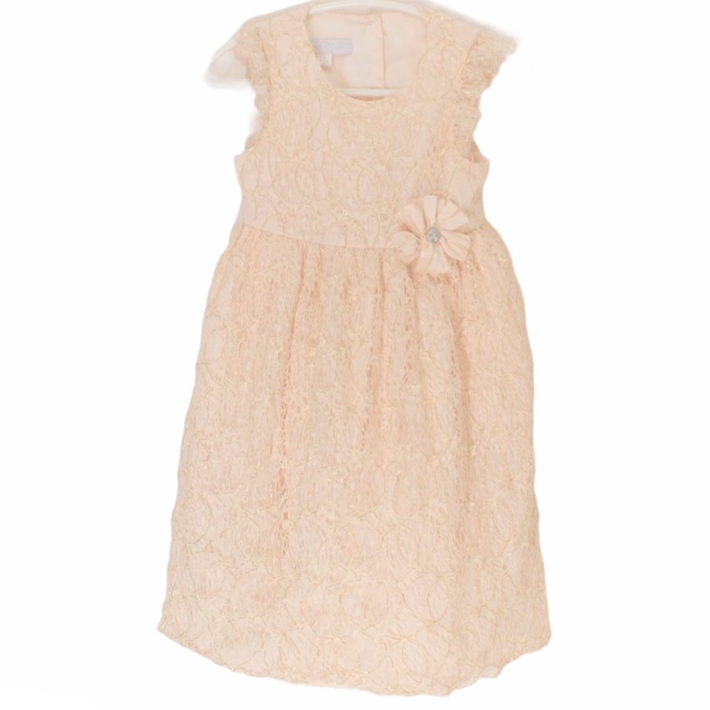 SPECIAL OCCASSIONS Soft Peach Lace Gold Dress 3